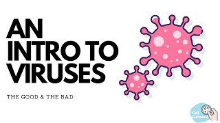 Introduction to Viruses: The Good & Bad