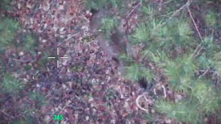 High Hit Buck Found! - Saint Clair County Alabama - DJI Mavic 3T Thermal