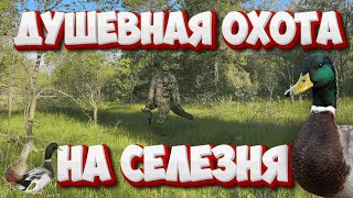 ДУШЕВНАЯ ОХОТА НА СЕЛЕЗНЯ!