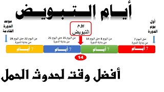 ايام التبويض عند المراة لحدوث الحمل أفضل وقت لحدوث الحمل بعد الدورة الشهرية كم من الوقت تعيش البويضة