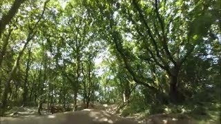 Sharlston woods FPV