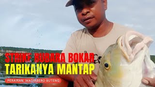 STRIKE BUBARA BOKAR TARIKANYA BIKIN PANAS DINGIN @VideoDroneTranding