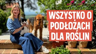 Podłoża do roślin - jak je dobierać i jak dbać o rośliny domowe | Ula Pedantula #457