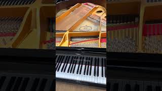 You Make Me Happy And Sad - Kayserburg Prodigy Self Playing Grand Piano