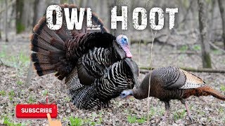 Turkey Hunting Locator Call - Owl Hoot - Free Download