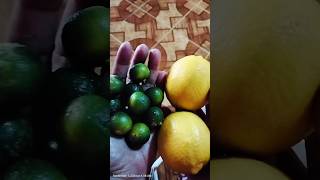 Kalamansi versus Lemon #fruits #shortsvideo #viralshorts #asmr