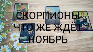 #СКОРПИОНЫ #НОЯБРЬ ВАЖНЫЕ СОБЫТИЯ 💕💖🥰#ТароПрогноз #ТароРасклад #Таро #ГаданиеНаБудущее