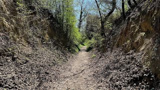 Großartige Hohlwegwanderung mit spektakulären Ausblicken im Kraichgau