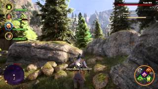 Dragon Age: Inquisition PS4 Test