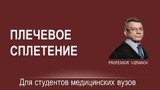 Плечевое сплетение. Лекция для студентов медицинского института