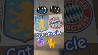 Cat Oracle predicts Aston Villa vs Bayern Munich Champions League 02.10.2024