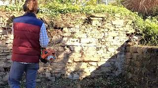 Cleaning Ivy off Retaining Wall