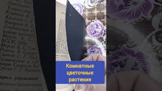 комнатные цветочные растения#букинистика #книги