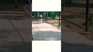 Pull Shot #cricket #viral #cricketshorts #batting #shot #cricketlover  #shortvideo #shorts