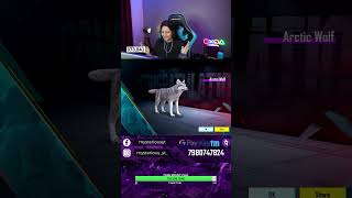 Luckiest Wolf Crate Opening in 10uc #shorts #shortvideo #shortsfeed #bgmi