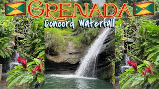 Concord Waterfall in Grenada 🇬🇩