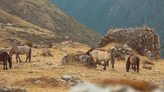 Salkantay Trek: Connecting to Pachamama