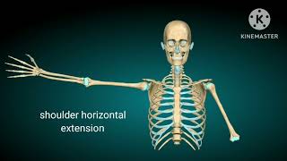 shoulder horizontal flexion and extension in 3d