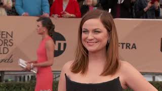 HAPPY BIRTHDAY AMY POEHLER