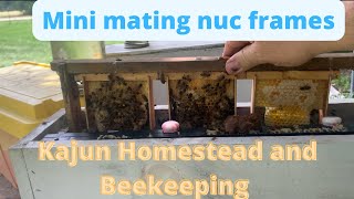 mini mating nuc upgrade #beekeeping #minimatingnuc #bees