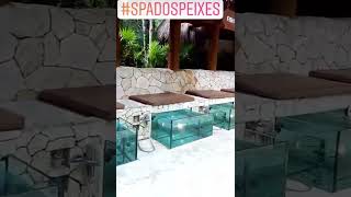 Spa que você nunca viu! Spa dos peixes.