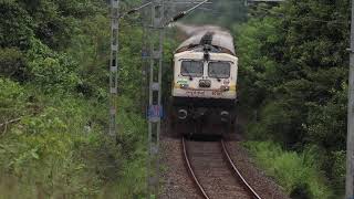 Matysagandha Superfast Express rushes in the woods towards Mumbai!