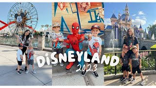 Disneyland 2023