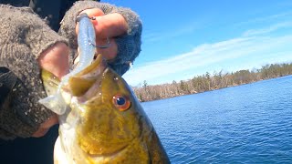 Swimbait Fishing Deep Water Smallmouth - Early April Bass Fishing!!