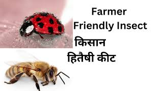 Farmer Friendly Insect | किसान हितैषी कीट | Modern Kheti | whatsapp 9814388969