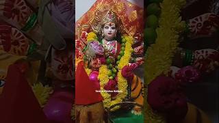 My Home #durgamata #durgamaa #durgapuja #navratri #visarjan #nimajjanam #viral #trending #shorts #yt