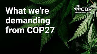 We're going to COP27.