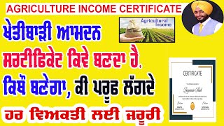 Agriculture income certificate apply punjab | agri culture amdan certificate kaise banaye