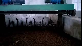 A Best Way for Chicken Poop disposal | 500 m3/h Groove Type Compost Turning Machine