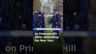 16 year-old Harry Pitman was stabbed and died on Primrose Hill at New Years celebrations.