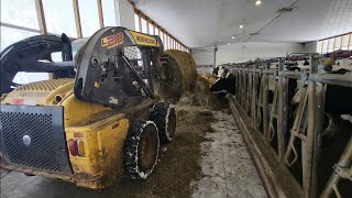 THE CALM BEFORE THE STORM!!! Time To Get Ready For Spring! And Keeping The Cows Milked And Fed.