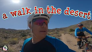 Riding/walking the Palm Canyon Epic