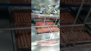 Manipulator sorting ham sausage