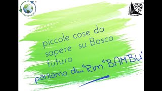 Piccole cosa da sapere di Bosco Futuro: Parliamo di "Rimbambù"