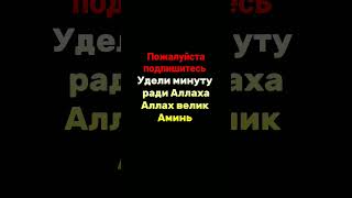 да смотри это видео до конца если любишь коран #пост #коран #аллах #иман #ислам #дуа #аминь #сура