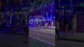 Miami Evening #shortsvideo #travel #shortvideo #trending #tiktok #trend #trendingshorts