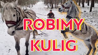 ZROBILIŚMY KULIG!!! WJECHALIŚMY W KRZAKI! / ważne info! VLOGMAS KONIE HORSE ON BOARD