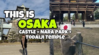 LET’S EXPLORE OSAKA CASTLE + NARA PARK + TODAIJI TEMPLE 🇯🇵 | KENKEN DE LEON