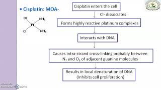 Antineoplastic agents Cisplatin