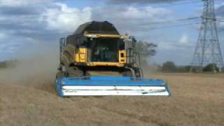 Stripping Peas