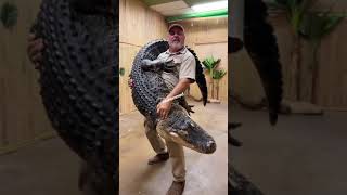 مستحيل شاهد هذا شب يحمل اكبر تمساح بالعالم🐊😱