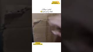 بعضی از گربه ها درون‌گرا هستند لطفا مزاحم نشویدپارسیان کت مرکز فروش و خرید گربه خانگیو دستی در تهران