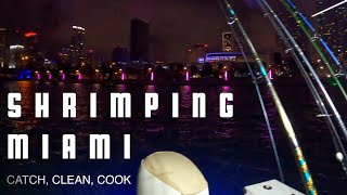 How To Catch Shrimp || Miami Florida || Catch Clean Cook