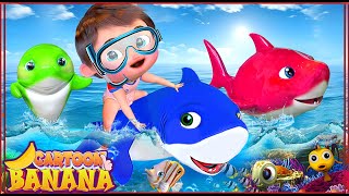 Le Requin Bébé en Chanson - Chansons pour bébés - Comptines et chansons - Banana Cartoon