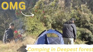 Camping in Uttrakhand forest|camping on Top of mountain|UnseenTheNature