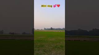 Mini vlog !! Couple Masti vlog !! Lovemarrage couple vlog !! Couple goals!! #shorts #ytshorts #song